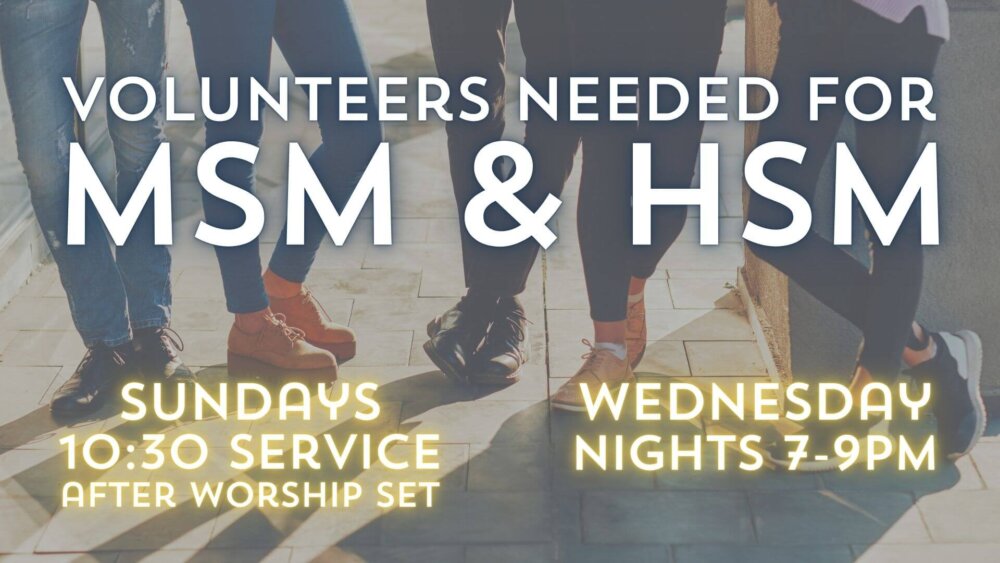 MSMHSM Volunteers